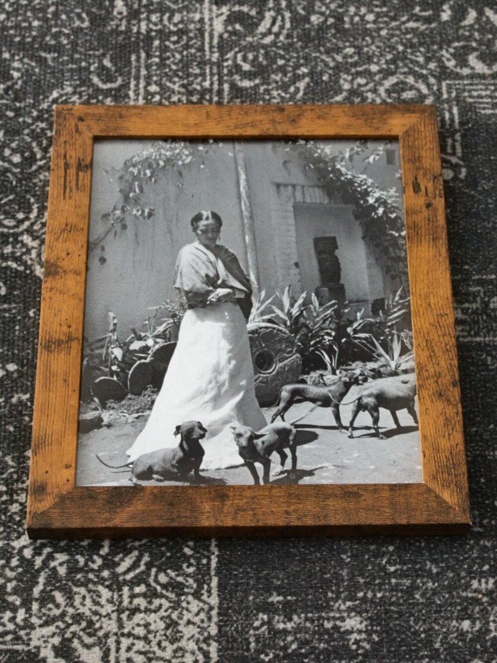 Frida Kahlo Xolo Dogs Courtyard Vintage Photo Print 8x10 Artist Wall Decor Art